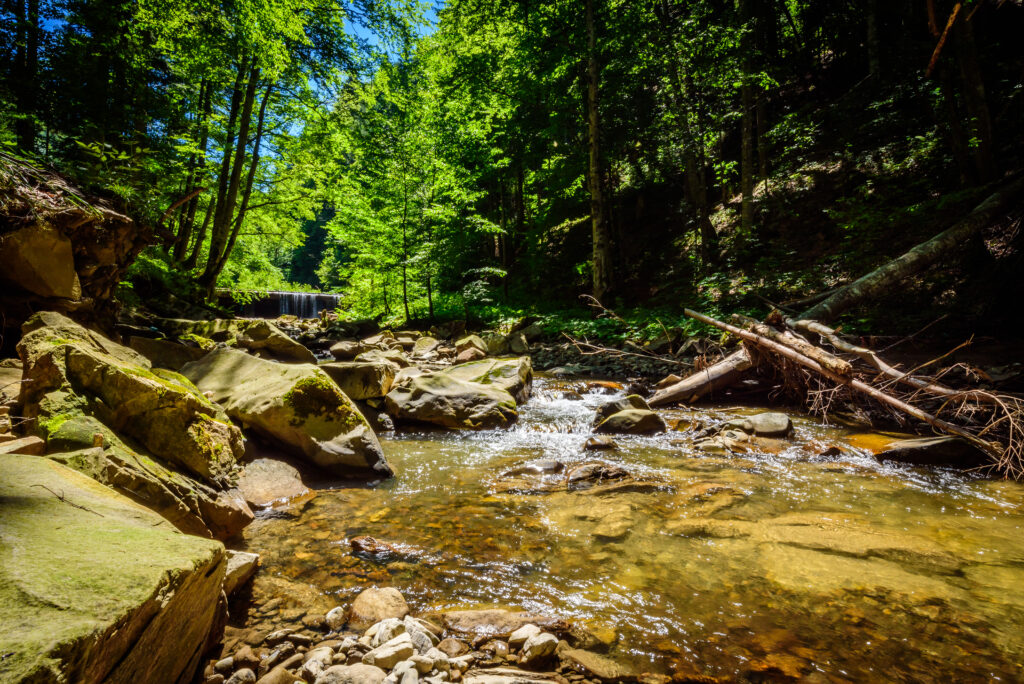 A forest stream and small cascade in Slănic Moldova